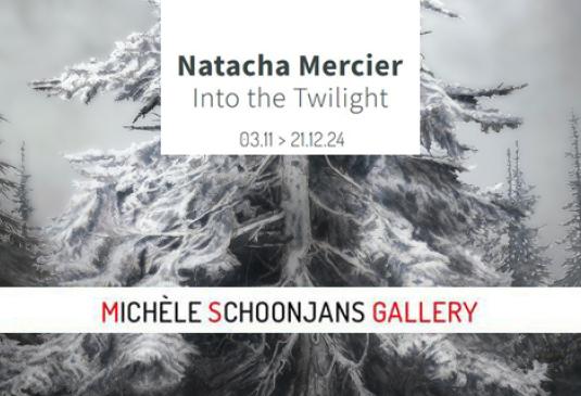 MS Gallery