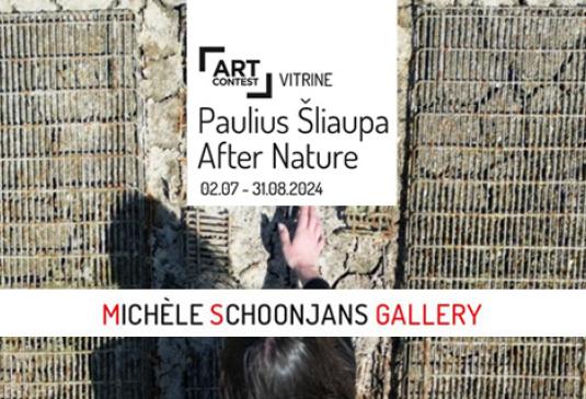 MS Gallery