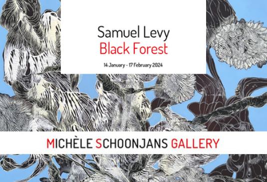 MS Gallery